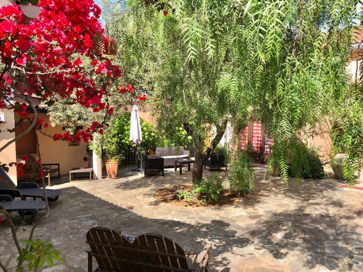 Chambres D'Hotes Le Clos Des Oliviers Sorbo-Ocagnano 외부 사진